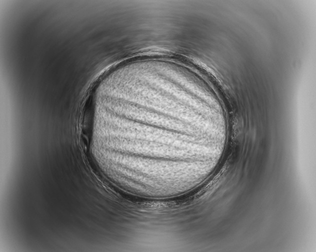 X0000096641355200802261249