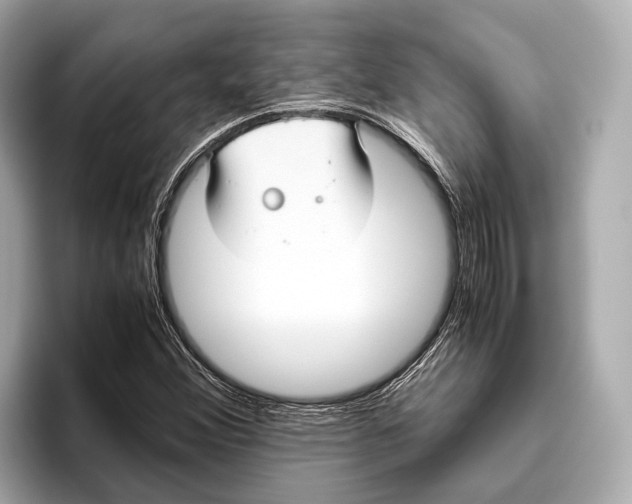 X0000096641356200802261248