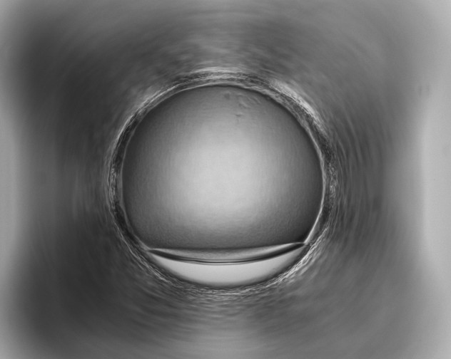 X0000096641357200802261248