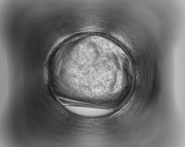 X0000096641358200802261248