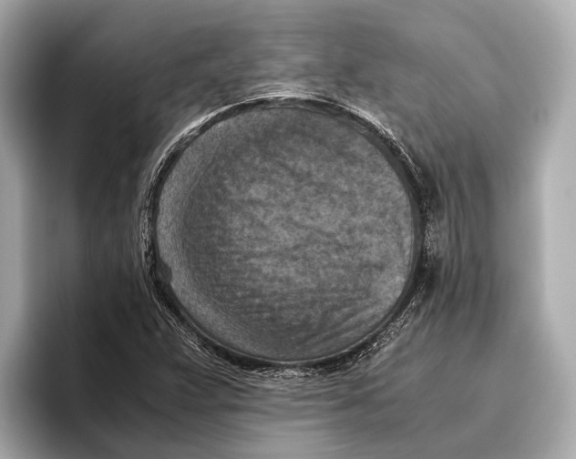 X0000096641359200802261248