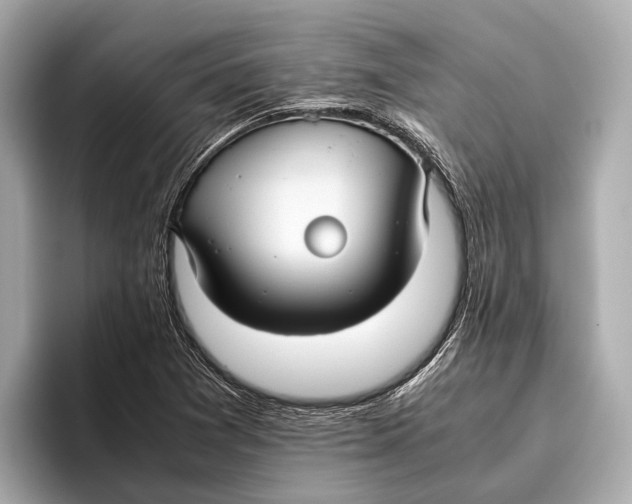 X0000096641361200802261248