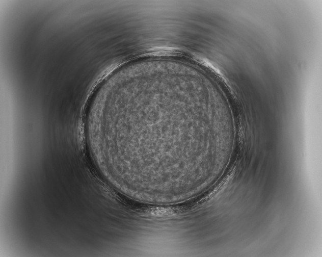 X0000096641362200802261248