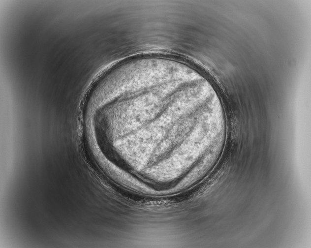 X0000096641363200802261248