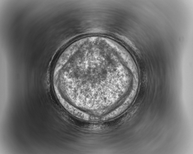 X0000096641364200802261248