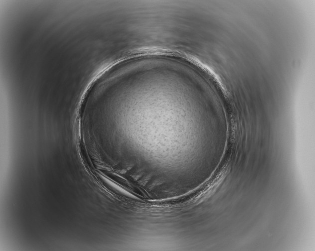 X0000096641365200802261248