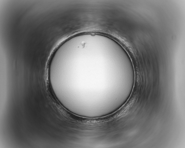 X0000096641366200802261248