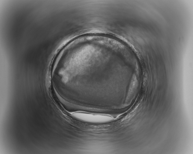 X0000096641367200802261248