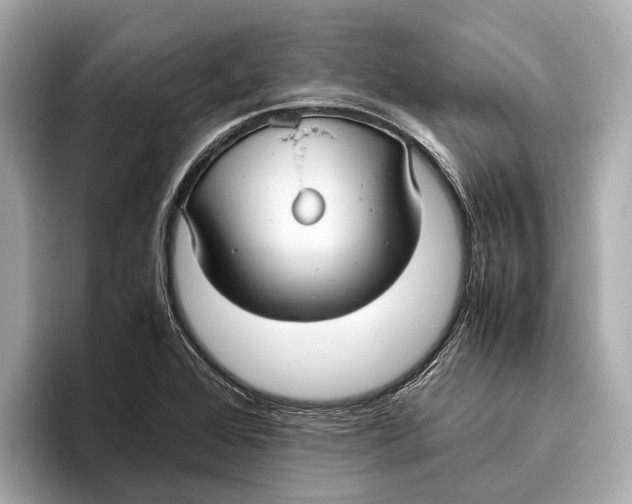 X0000096641368200802261248