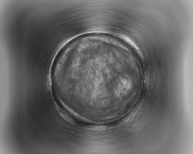 X0000096641372200802261248