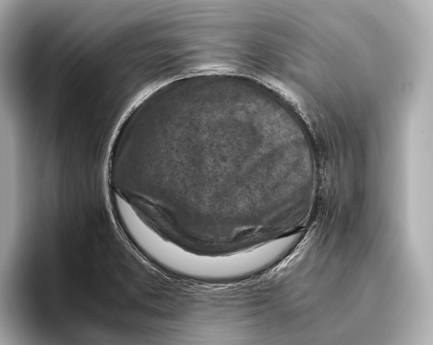 X0000096641373200802261248