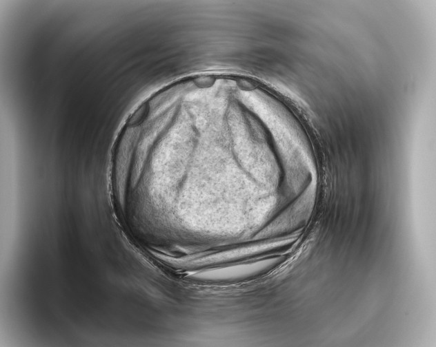 X0000096641374200802261248