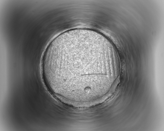 X0000096641375200802261248