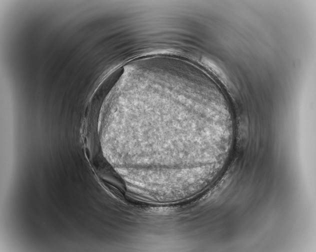 X0000096641377200802261248