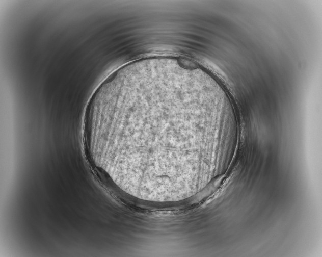 X0000096641378200802261248