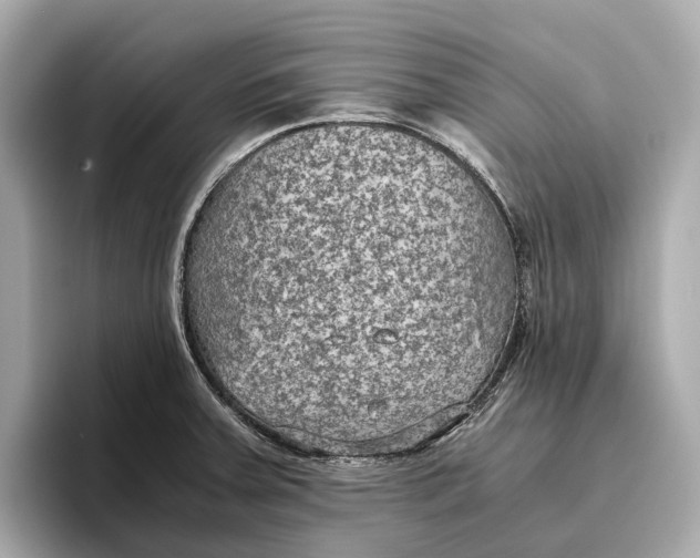 X0000096641379200802261248