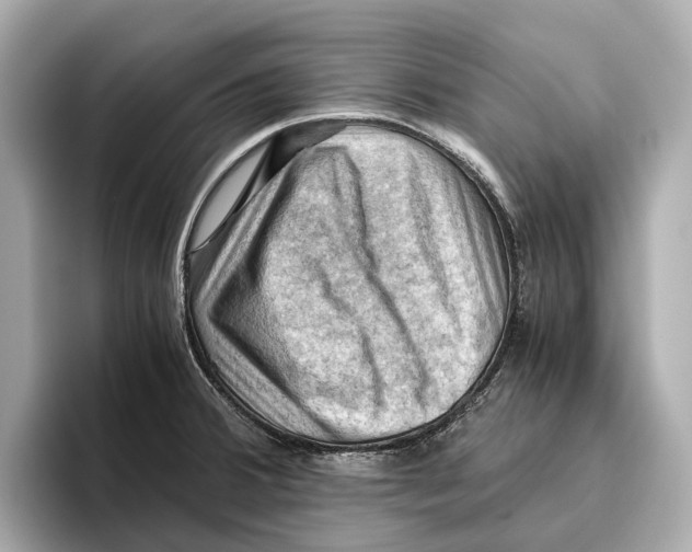 X0000096641380200802261248