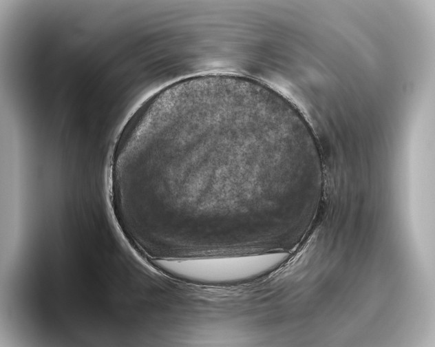 X0000096641383200802261248