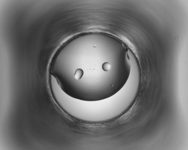 X0000096641384200802261248