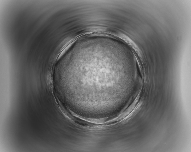 X0000096641385200802261248