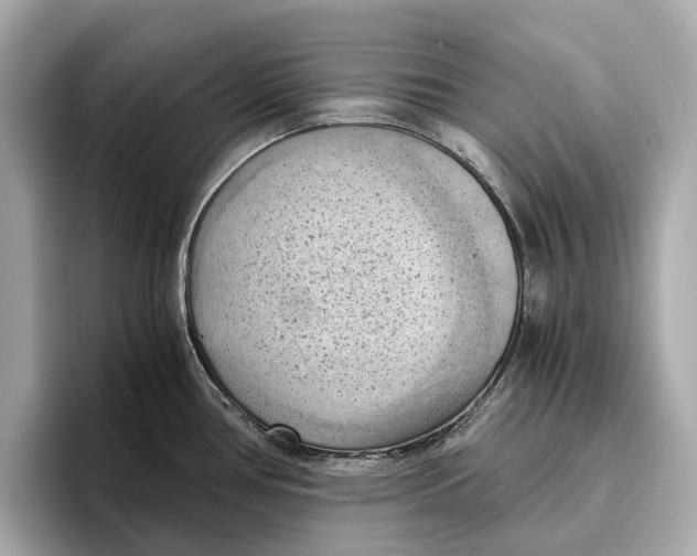 X0000096641386200802261248