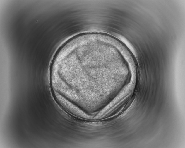 X0000096641388200802261248