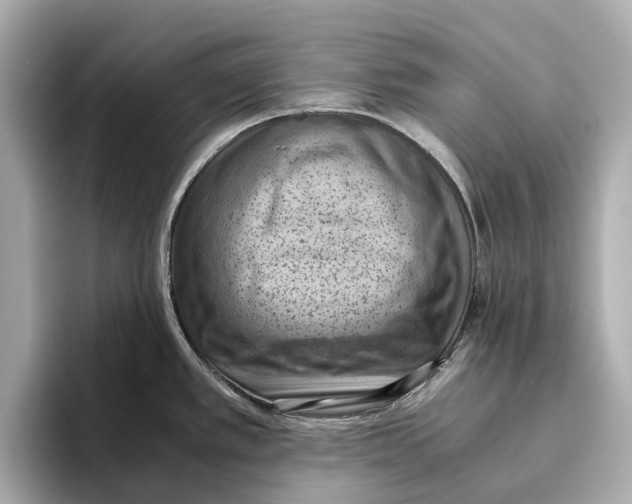 X0000096641389200802261248