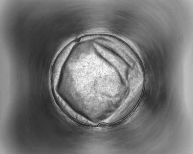 X0000096641390200802261248