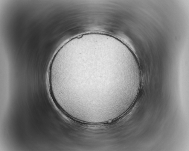 X0000096641391200802261248