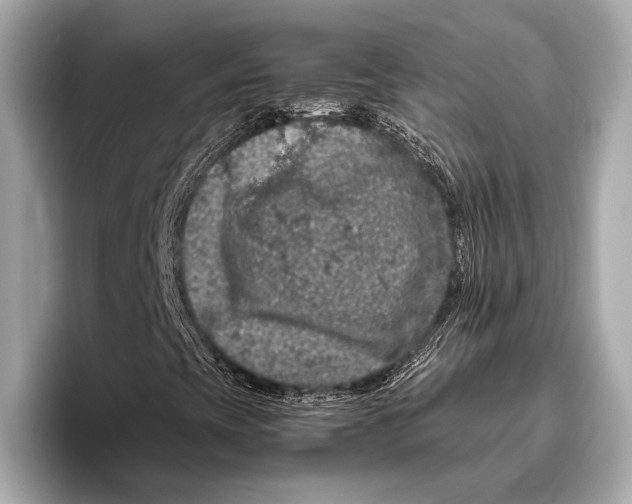 X0000096641393200802261247