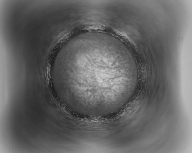 X0000096641399200802261247