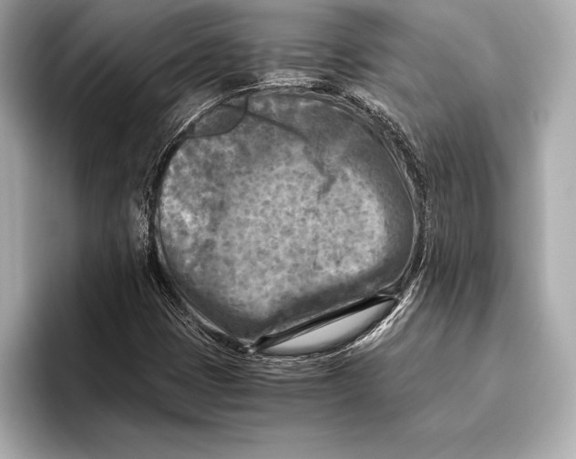 X0000096641401200802261247