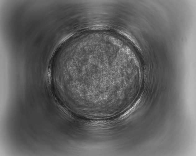 X0000096641402200802261247