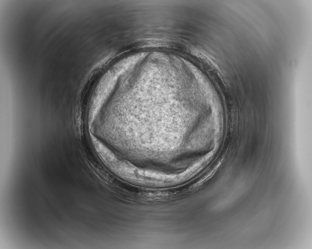 X0000096641403200802261247