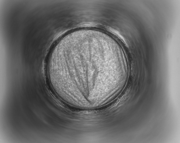 X0000096641404200802261247