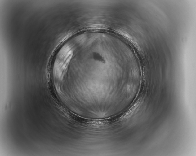 X0000096641405200802261247