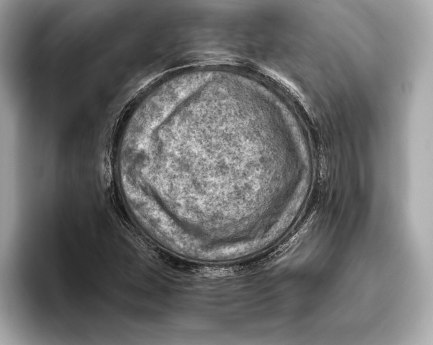 X0000096641407200802261247