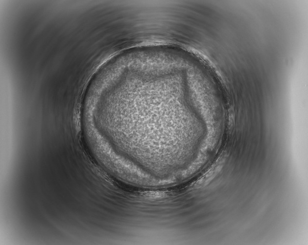 X0000096641409200802261247