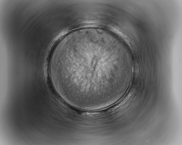 X0000096641411200802261248