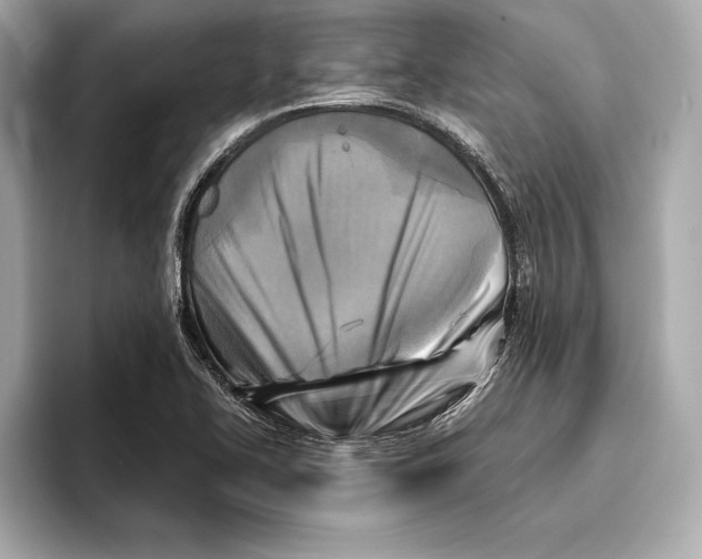 X0000096641414200802261248