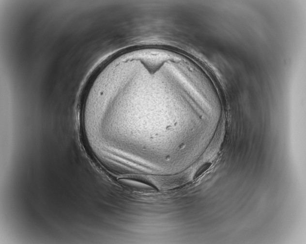 X0000096641416200802261248