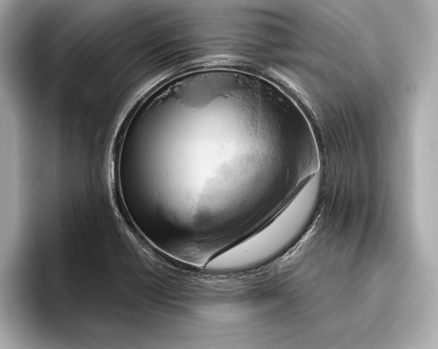 X0000096641418200802261248