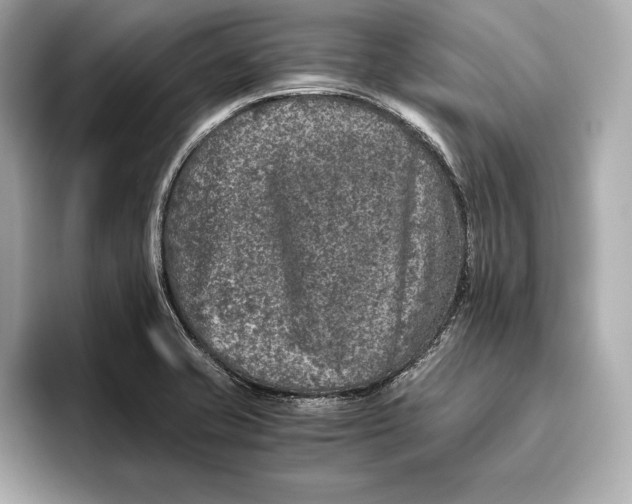 X0000096641421200802261248