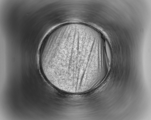 X0000096641424200802261248