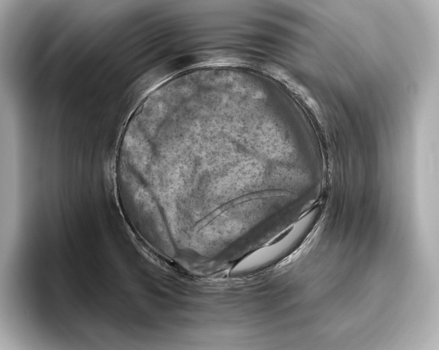 X0000096641425200802261248