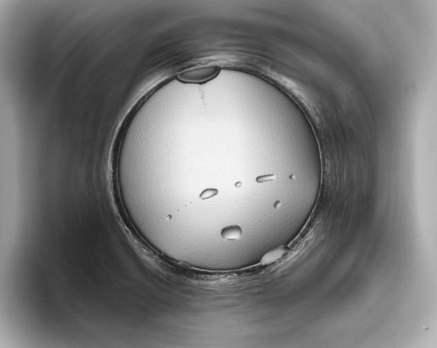 X0000096641426200802261248