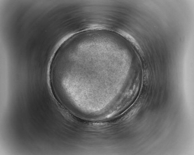 X0000096641427200802261248