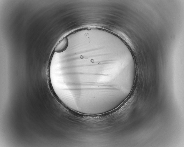 X0000096641428200802261248