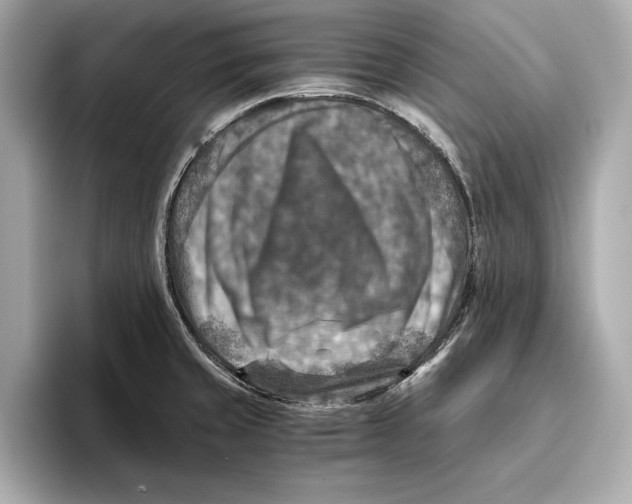 X0000096641429200802261248