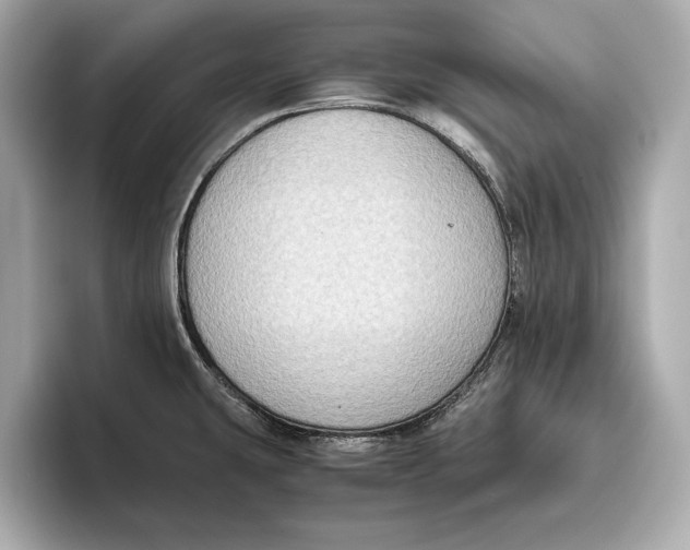 X0000096641431200802261248